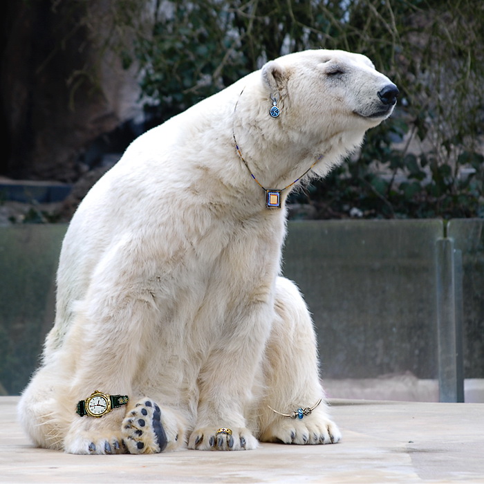 24 Montage-Eisbär-schmuck-Tiere_DSC3941-als-Smart-Objekt-1-NR-2--mit-schärfen.jpg